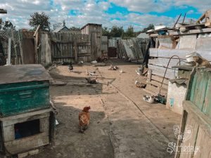 Жителі Широківської громади,показали процес догляду за птахами