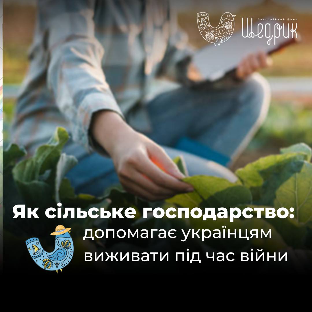 Продовольча безпека України