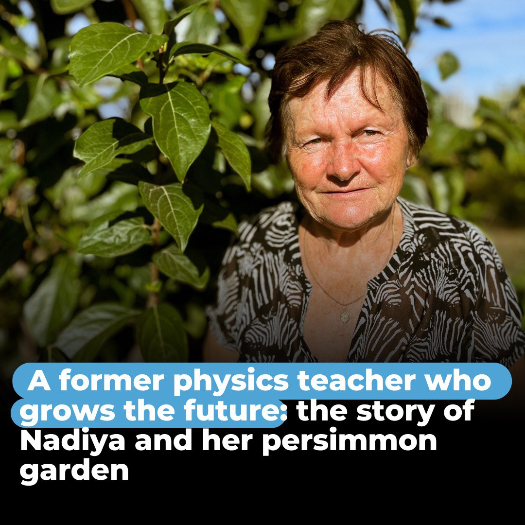 A former physics teacher who grows the future: the story of Nadiya and her persimmon garden