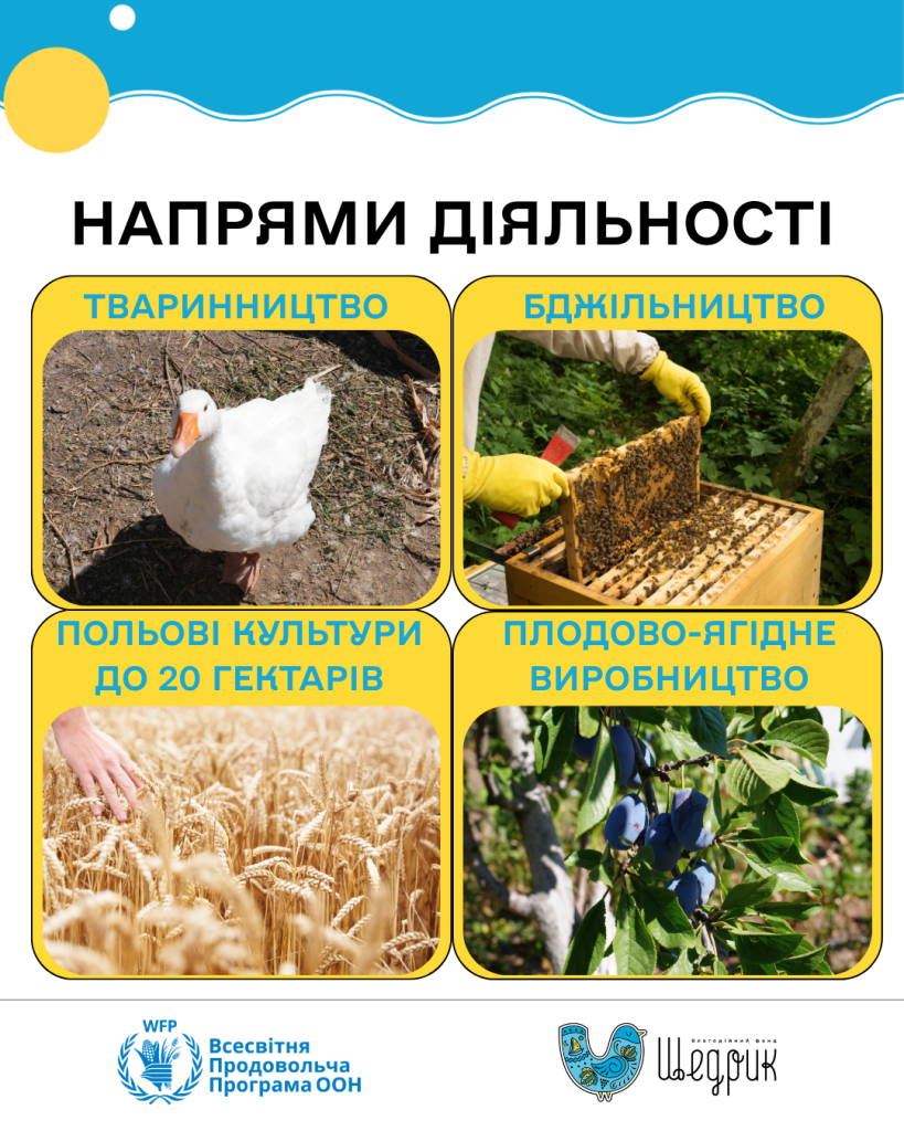 Напрями діяльності у рамках мікрогрантової програми