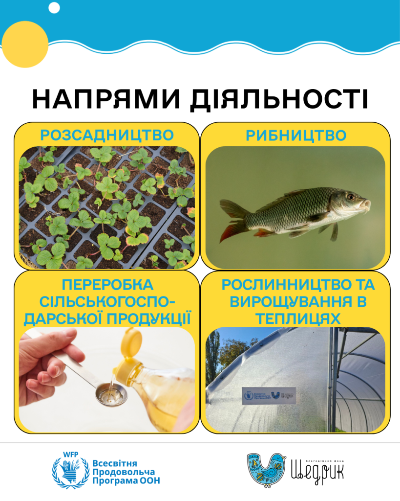 Напрями діяльності у рамках мікрогрантової програми